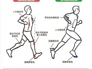 掌握科学跑步姿势：正确跑步方法与技巧详解