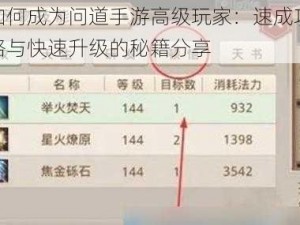 如何成为问道手游高级玩家：速成攻略与快速升级的秘籍分享