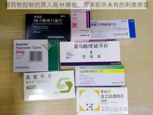 被药物控制的男人高 H 体验，带来前所未有的刺激感受