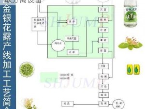 师兄 1v2 金银花：高效、便捷的金银花提取分离设备