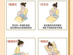 母乳喂养教程标清：从孕期到哺乳期的专业指导