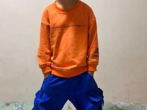 幼儿 hiphop 仙踪网人民网，一款专注于幼儿舞蹈教育的在线学习平台