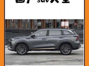 优质国产 SUV，集时尚外观、强劲动力与高性价比于一身，畅享舒适驾乘体验