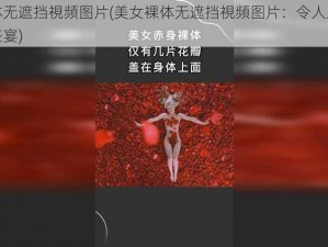 美女裸体无遮挡視頻图片(美女裸体无遮挡視頻图片：令人血脉贲张的视觉盛宴)