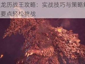 熔山龙历战王攻略：实战技巧与策略解析，掌握要点轻松挑战