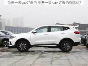 免费一级suv好看的 免费一级 suv 好看的有哪些？