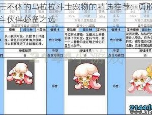 关于不休的乌拉拉斗士宠物的精选推荐：勇敢的战斗伙伴必备之选