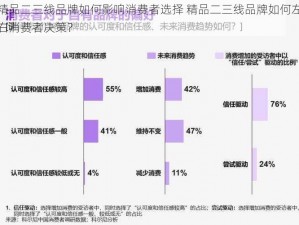 精品二三线品牌如何影响消费者选择 精品二三线品牌如何左右消费者决策？