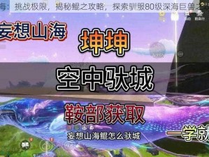 妄想山海：挑战极限，揭秘鲲之攻略，探索驯服80级深海巨兽之攻略秘技