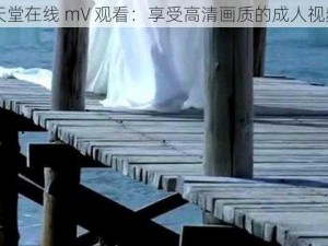 日本天堂在线 mV 观看：享受高清画质的成人视频盛宴