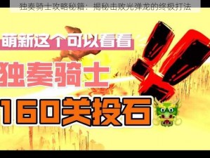 独奏骑士攻略秘籍：揭秘击败光弹龙的终极打法