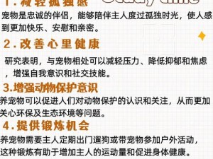 平民起源的宠物推荐：精选适合平民伴侣的宠物指南