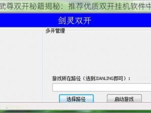 极武尊双开秘籍揭秘：推荐优质双开挂机软件中心