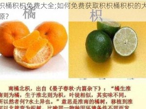 积枳桶积枳免费大全;如何免费获取积枳桶积枳的大全资源？