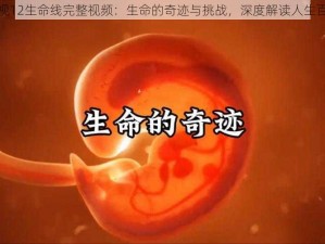 央视12生命线完整视频：生命的奇迹与挑战，深度解读人生百态