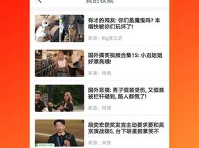 青久久久视频 2019：一款提供高清画质和丰富内容的视频播放软件