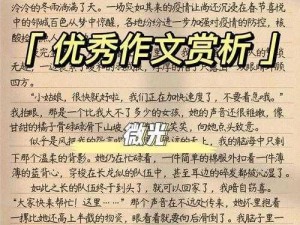 《OTXO日记：第80天的光影与思考》