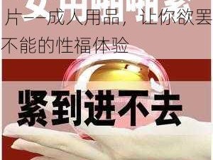 中国女人内 09 视频 A 片——成人用品，让你欲罢不能的性福体验