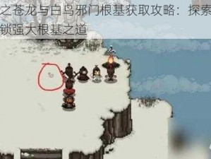 大江湖之苍龙与白鸟邪门根基获取攻略：探索隐秘路径，解锁强大根基之道