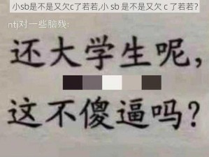 小sb是不是又欠c了若若,小 sb 是不是又欠 c 了若若？