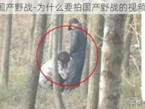 国产野战-为什么要拍国产野战的视频？