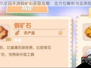 摩尔庄园手游铜矿石获取攻略：全方位解析与实用指南