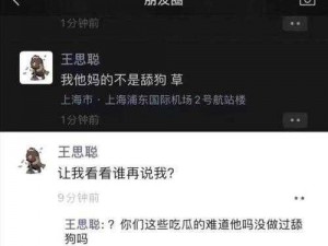 王思聪追求孙一宁背后的舔狗事件深度解析：揭秘网络热点话题背后的真相