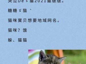 猫咪社区的永久地域网名是什么 猫咪社区的永久地域网名是什么？探索猫咪爱好者的专属世界