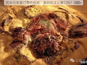 牧场另类重口变态视频：真的有这么重口吗？😱