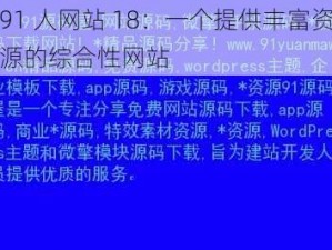 91 人网站 18：一个提供丰富资源的综合性网站