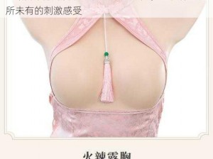 全新升级版撕开情趣内衣爆乳 H 文，让你体验前所未有的刺激感受