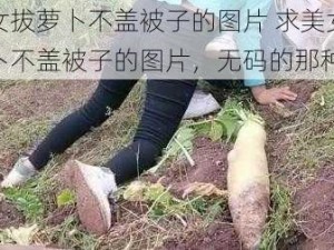 美女拔萝卜不盖被子的图片 求美女拔萝卜不盖被子的图片，无码的那种