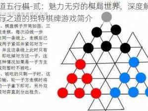 天道五行棋-贰：魅力无穷的棋局世界，深度解析五行之道的独特棋牌游戏简介