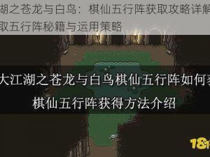 大江湖之苍龙与白鸟：棋仙五行阵获取攻略详解：如何获取五行阵秘籍与运用策略