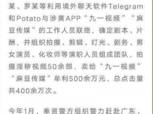 麻豆文化传媒网站官网免费提供各类精彩影片，满足不同用户的需求