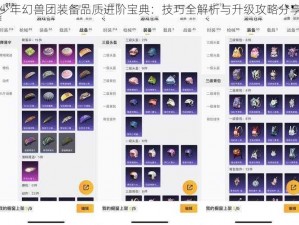 少年幻兽团装备品质进阶宝典：技巧全解析与升级攻略分享