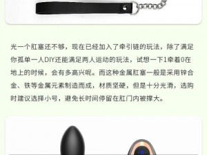 同性 Gay 做受 2022——全球首款适用于同性情侣的高端智能情趣用品