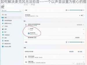 如何解决麦克风无法拾音——一个以声音设置为核心的指南