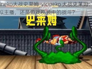 vicineko大战史莱姆_vicineko 大战史莱姆：是虚拟主播，还是游戏视频中的战斗？