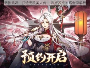 调教武姬：打造无敌美人传——武姬养成攻略全面解析