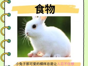 猪蜜蜜、猪蜜蜜为什么不喜欢吃胡萝卜？