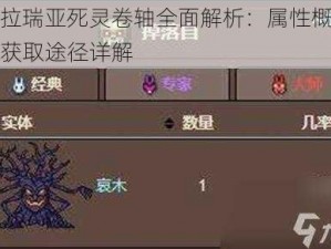 泰拉瑞亚死灵卷轴全面解析：属性概览与获取途径详解