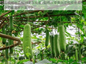 草莓丝瓜视频丝瓜视18岁在线看—如何在草莓丝瓜视频丝瓜视 18 岁在线看中观看喜欢的影片？