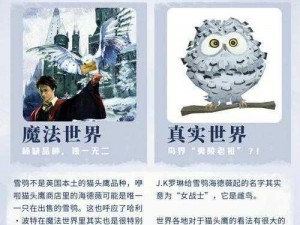 哈利波特：魔法觉醒之雪鸮神秘护身力量的揭秘