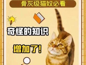 猫咪公会：一场沉浸式的猫奴冒险游戏之旅