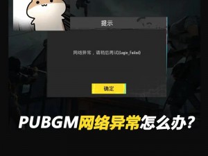 绝地求生PUBG无法运行解析：游戏故障排查与解决方案探索