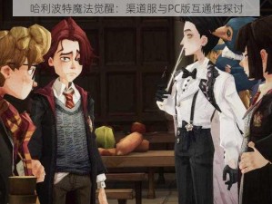 哈利波特魔法觉醒：渠道服与PC版互通性探讨