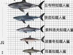 揭秘巨齿鲨食性：海洋霸主的饲料奥秘揭晓