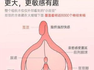 婬荡公乱婬 86：体验前所未有的极致快感