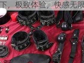 XX 牌高端情趣用品——女王把男奴的头摁到胯下，极致体验，快感无限